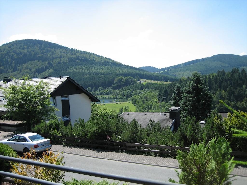 Ferienwohnung Inge Steinruecken Winterberg Rom bilde